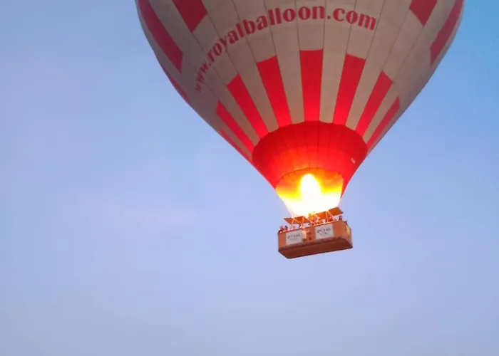 Mustafa Bey Konagi גורמה